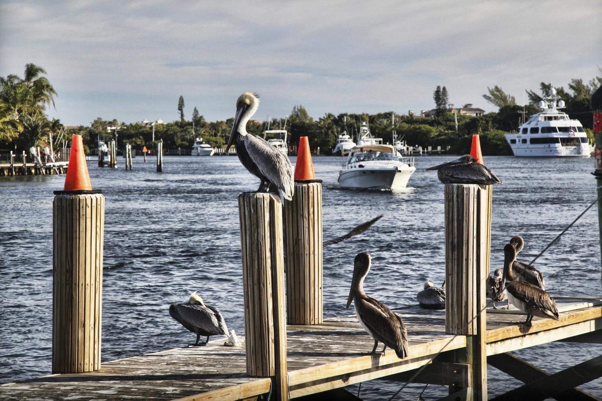 Floranada Condos Pompano Beach Kültér fotó